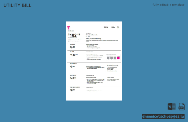 USA T-Mobile Stromrechnung Word-Version 4 Beispielvorschau
